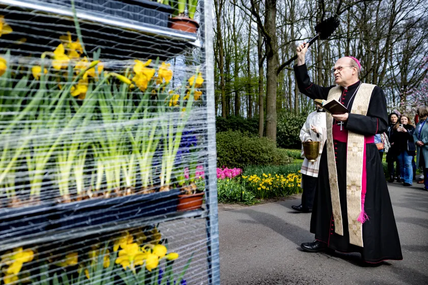 Bisschop van Rotterdam Hans van den Hende zegent bloemen in de Keukenhof, voordat deze vertrekken naar het Vaticaan. Paus Franciscus zal tijdens het uitspreken van de traditionele zegen Urbi et Orbi vanaf het balkon van de Sint-Pietersbasiliek omringd worden door de Nederlandse bloemen. ANP RAMON VAN FLYMEN