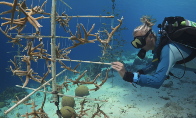 Foto van marien bioloog met koraalrif